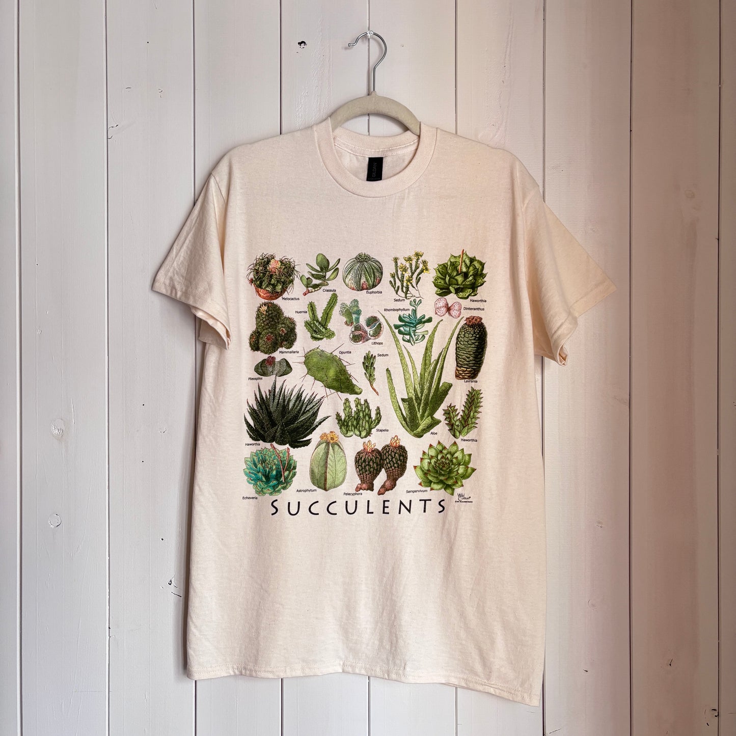 SUCCULENTS T-SHIRTS
