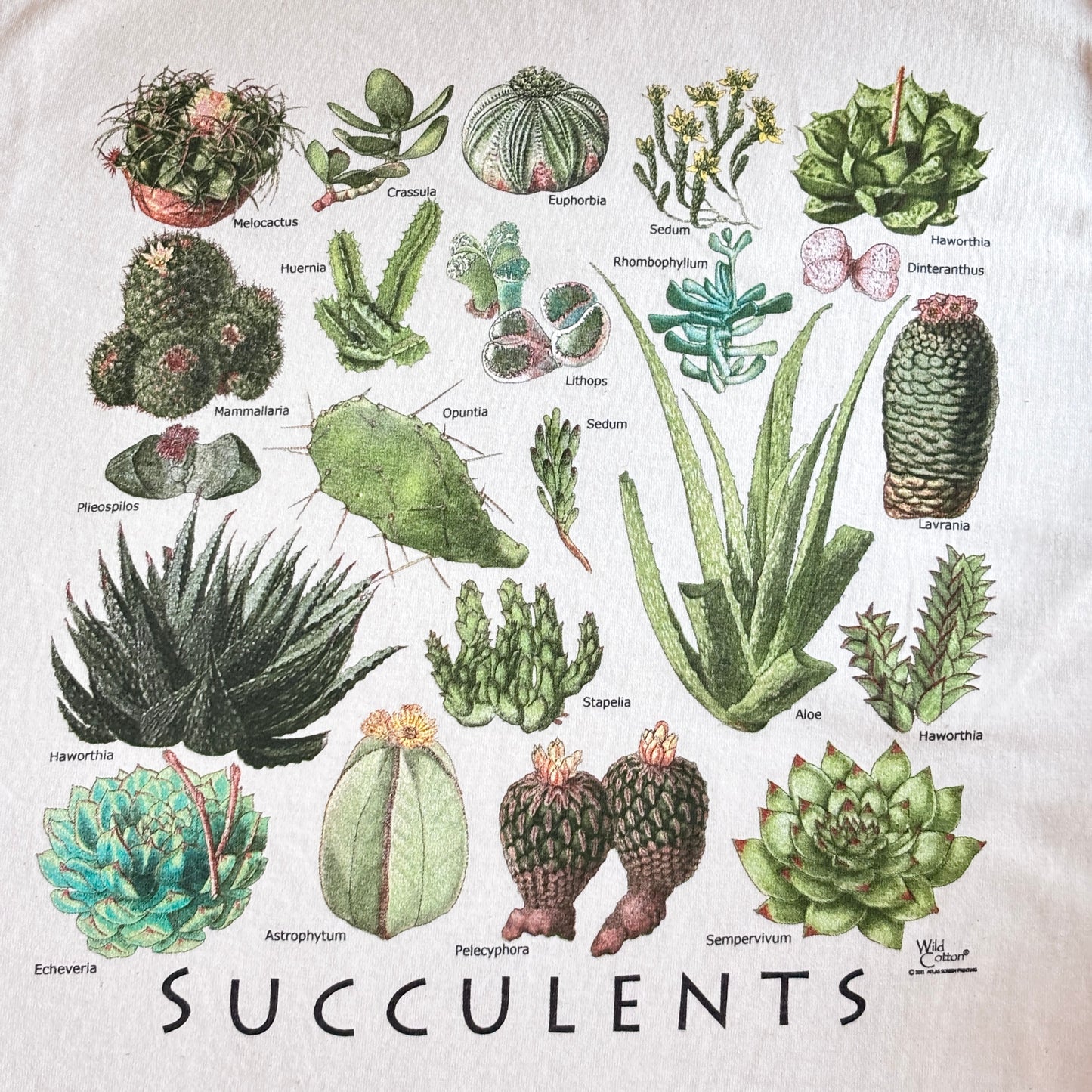 SUCCULENTS T-SHIRTS